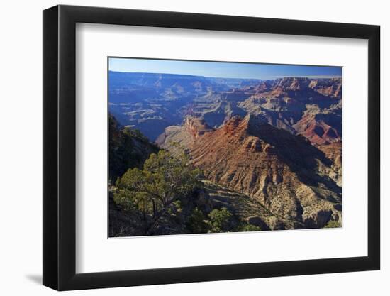 USA, Arizona, Grand Canyon Vista-Kymri Wilt-Framed Photographic Print