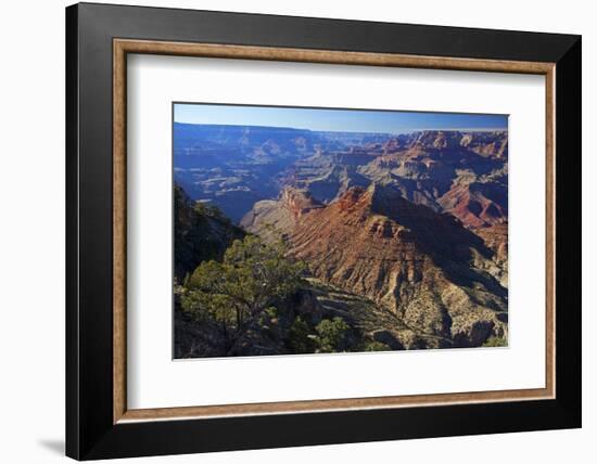 USA, Arizona, Grand Canyon Vista-Kymri Wilt-Framed Photographic Print