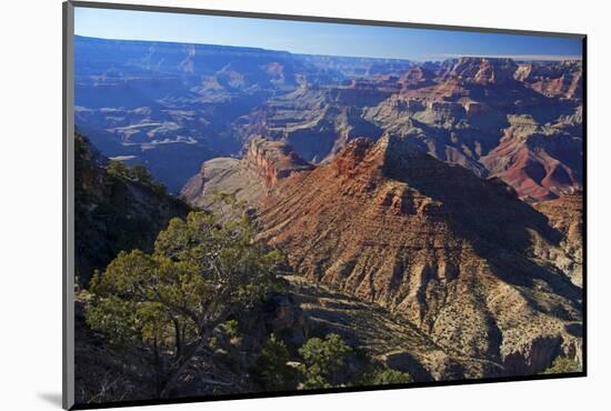 USA, Arizona, Grand Canyon Vista-Kymri Wilt-Mounted Photographic Print