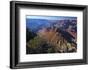 USA, Arizona, Grand Canyon Vista-Kymri Wilt-Framed Photographic Print