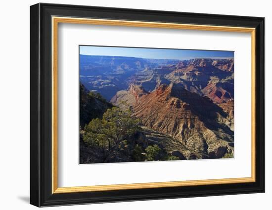 USA, Arizona, Grand Canyon Vista-Kymri Wilt-Framed Photographic Print