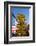 USA, Arizona, Historical Route 66, Seligman, Signpost-Catharina Lux-Framed Photographic Print