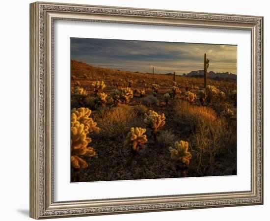 USA, Arizona, Kofa National Wildlife Area. Mountain and desert landscape at sunrise.-Jaynes Gallery-Framed Photographic Print