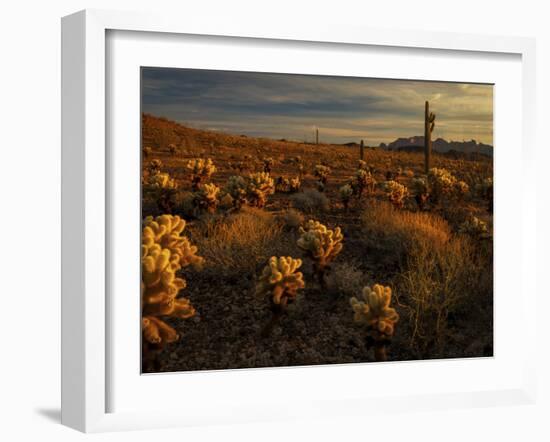 USA, Arizona, Kofa National Wildlife Area. Mountain and desert landscape at sunrise.-Jaynes Gallery-Framed Photographic Print