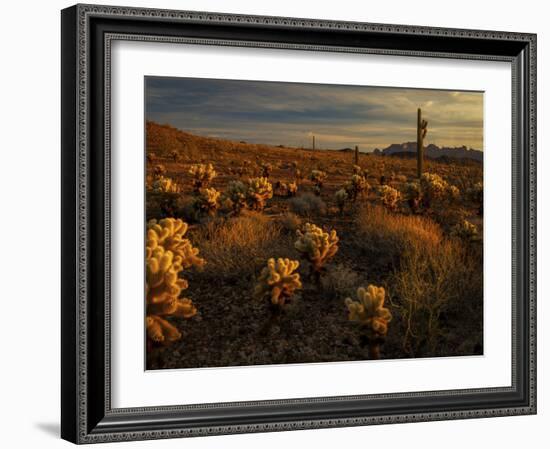 USA, Arizona, Kofa National Wildlife Area. Mountain and desert landscape at sunrise.-Jaynes Gallery-Framed Photographic Print