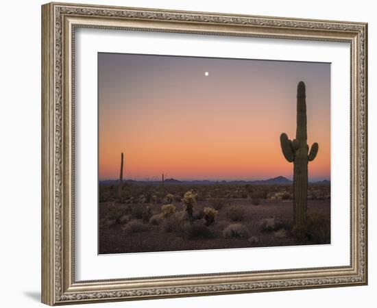 USA, Arizona, Kofa National Wildlife Area. Mountain and desert landscape at sunset.-Jaynes Gallery-Framed Photographic Print