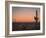 USA, Arizona, Kofa National Wildlife Area. Mountain and desert landscape at sunset.-Jaynes Gallery-Framed Photographic Print