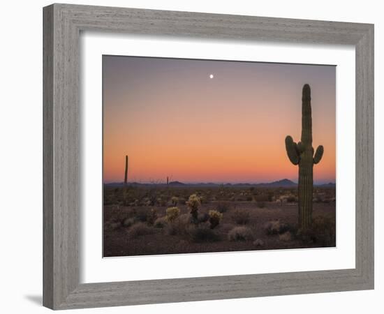 USA, Arizona, Kofa National Wildlife Area. Mountain and desert landscape at sunset.-Jaynes Gallery-Framed Photographic Print