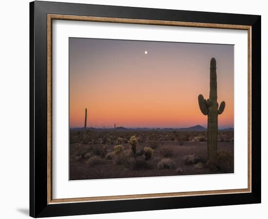 USA, Arizona, Kofa National Wildlife Area. Mountain and desert landscape at sunset.-Jaynes Gallery-Framed Photographic Print