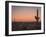 USA, Arizona, Kofa National Wildlife Area. Mountain and desert landscape at sunset.-Jaynes Gallery-Framed Photographic Print