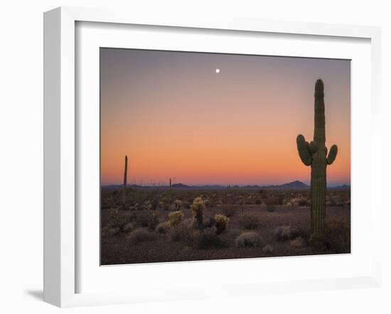 USA, Arizona, Kofa National Wildlife Area. Mountain and desert landscape at sunset.-Jaynes Gallery-Framed Photographic Print