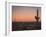 USA, Arizona, Kofa National Wildlife Area. Mountain and desert landscape at sunset.-Jaynes Gallery-Framed Photographic Print