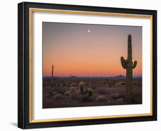 USA, Arizona, Kofa National Wildlife Area. Mountain and desert landscape at sunset.-Jaynes Gallery-Framed Photographic Print