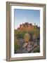 USA, Arizona, Lost Dutchman State Park. Barrel Cactus and Superstition Mountains-Kevin Oke-Framed Photographic Print