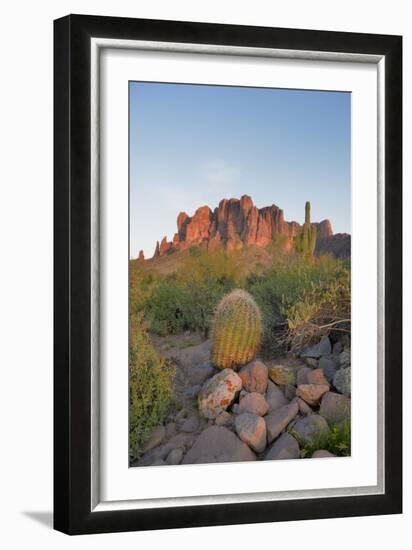 USA, Arizona, Lost Dutchman State Park. Barrel Cactus and Superstition Mountains-Kevin Oke-Framed Photographic Print