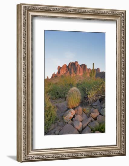 USA, Arizona, Lost Dutchman State Park. Barrel Cactus and Superstition Mountains-Kevin Oke-Framed Photographic Print