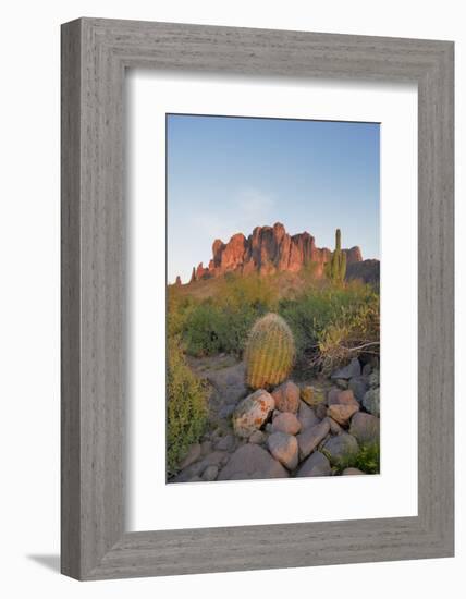 USA, Arizona, Lost Dutchman State Park. Barrel Cactus and Superstition Mountains-Kevin Oke-Framed Photographic Print