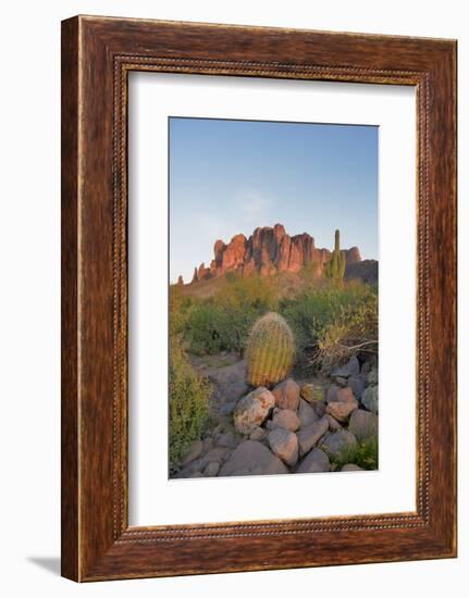 USA, Arizona, Lost Dutchman State Park. Barrel Cactus and Superstition Mountains-Kevin Oke-Framed Photographic Print