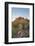 USA, Arizona, Lost Dutchman State Park. Barrel Cactus and Superstition Mountains-Kevin Oke-Framed Photographic Print