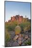 USA, Arizona, Lost Dutchman State Park. Barrel Cactus and Superstition Mountains-Kevin Oke-Mounted Photographic Print