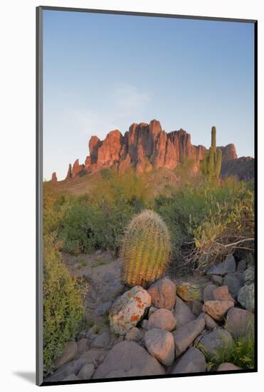 USA, Arizona, Lost Dutchman State Park. Barrel Cactus and Superstition Mountains-Kevin Oke-Mounted Photographic Print