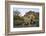 USA, Arizona. Lost Dutchman State Park, Cholla cactus and Superstition Mountains-Kevin Oke-Framed Photographic Print