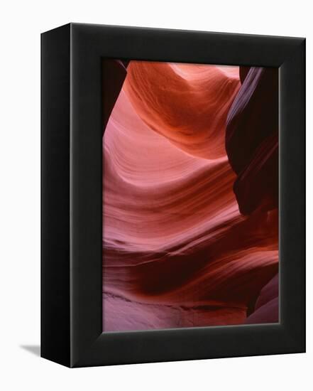 USA, Arizona, Navajo Tribal Park, Erosion of Navajo Sandstone of Lower Antelope Canyon-John Barger-Framed Premier Image Canvas