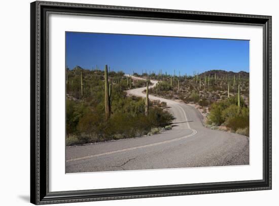 USA, Arizona, Organ Pipe Cactus National Monument. Highway 85-Kymri Wilt-Framed Photographic Print