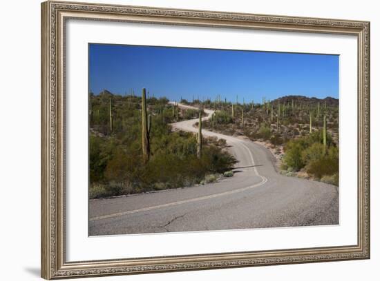 USA, Arizona, Organ Pipe Cactus National Monument. Highway 85-Kymri Wilt-Framed Photographic Print