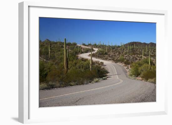 USA, Arizona, Organ Pipe Cactus National Monument. Highway 85-Kymri Wilt-Framed Photographic Print