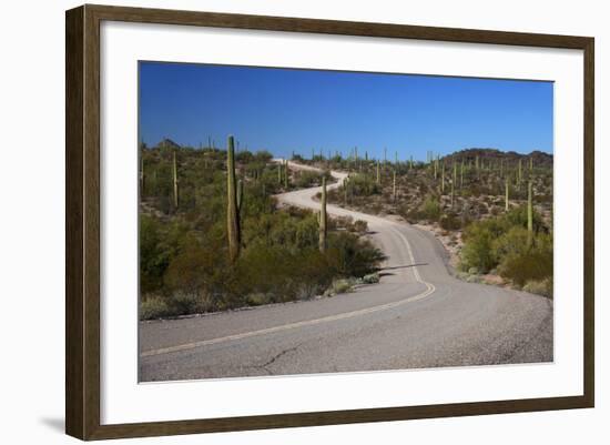 USA, Arizona, Organ Pipe Cactus National Monument. Highway 85-Kymri Wilt-Framed Photographic Print