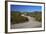 USA, Arizona, Organ Pipe Cactus National Monument. Highway 85-Kymri Wilt-Framed Photographic Print