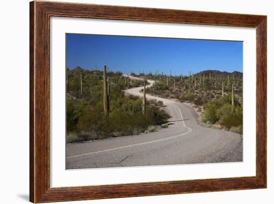 USA, Arizona, Organ Pipe Cactus National Monument. Highway 85-Kymri Wilt-Framed Photographic Print