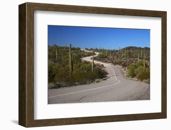 USA, Arizona, Organ Pipe Cactus National Monument. Highway 85-Kymri Wilt-Framed Photographic Print