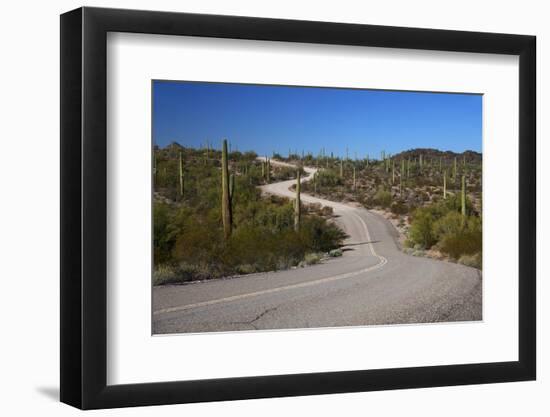 USA, Arizona, Organ Pipe Cactus National Monument. Highway 85-Kymri Wilt-Framed Photographic Print