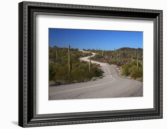 USA, Arizona, Organ Pipe Cactus National Monument. Highway 85-Kymri Wilt-Framed Photographic Print