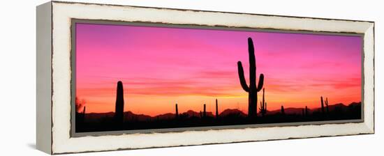 Usa, Arizona, Organ Pipe National Monument, Sunset-Robert Glusic-Framed Premier Image Canvas