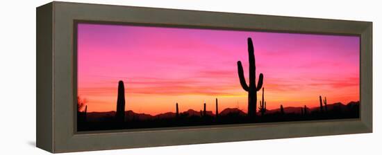 Usa, Arizona, Organ Pipe National Monument, Sunset-Robert Glusic-Framed Premier Image Canvas