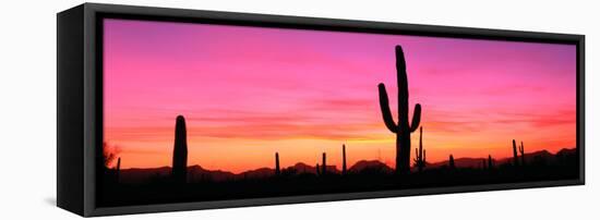 Usa, Arizona, Organ Pipe National Monument, Sunset-Robert Glusic-Framed Premier Image Canvas