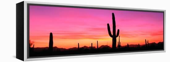 Usa, Arizona, Organ Pipe National Monument, Sunset-Robert Glusic-Framed Premier Image Canvas