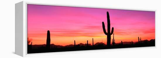 Usa, Arizona, Organ Pipe National Monument, Sunset-Robert Glusic-Framed Premier Image Canvas