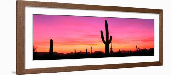 Usa, Arizona, Organ Pipe National Monument, Sunset-Robert Glusic-Framed Photographic Print