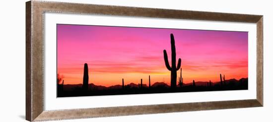 Usa, Arizona, Organ Pipe National Monument, Sunset-Robert Glusic-Framed Photographic Print