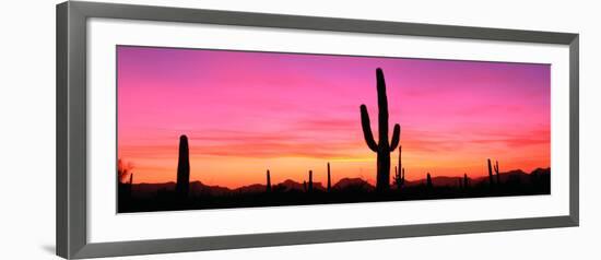 Usa, Arizona, Organ Pipe National Monument, Sunset-Robert Glusic-Framed Photographic Print