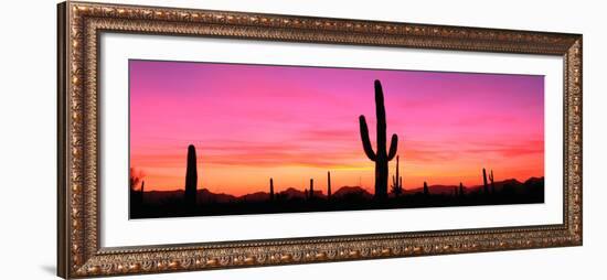 Usa, Arizona, Organ Pipe National Monument, Sunset-Robert Glusic-Framed Photographic Print