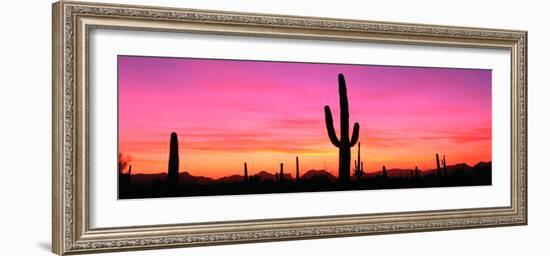 Usa, Arizona, Organ Pipe National Monument, Sunset-Robert Glusic-Framed Photographic Print