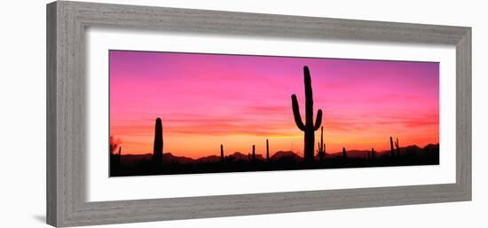 Usa, Arizona, Organ Pipe National Monument, Sunset-Robert Glusic-Framed Photographic Print