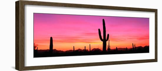 Usa, Arizona, Organ Pipe National Monument, Sunset-Robert Glusic-Framed Photographic Print