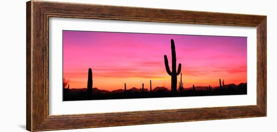 Usa, Arizona, Organ Pipe National Monument, Sunset-Robert Glusic-Framed Photographic Print