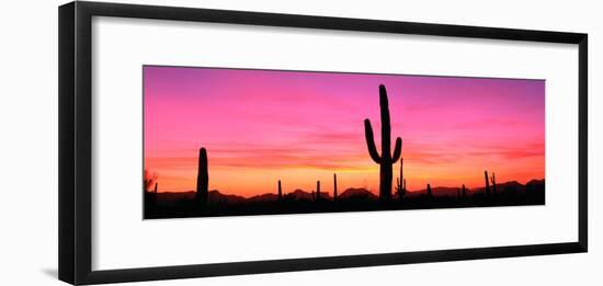 Usa, Arizona, Organ Pipe National Monument, Sunset-Robert Glusic-Framed Photographic Print